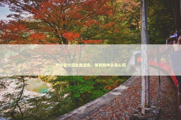 李玲受伤退出奥运会，体育精神永存心间