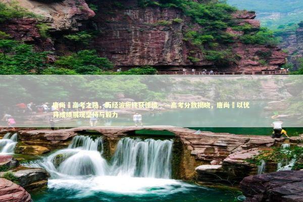 唐尚珺高考之路，历经波折终获佳绩——高考分数揭晓，唐尚珺以优异成绩展现坚持与毅力