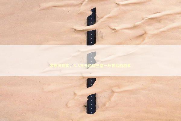 梦想与现实，3.3万元购得三室一厅背后的故事