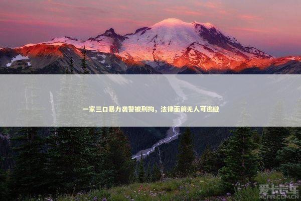 一家三口暴力袭警被刑拘，法律面前无人可逃避