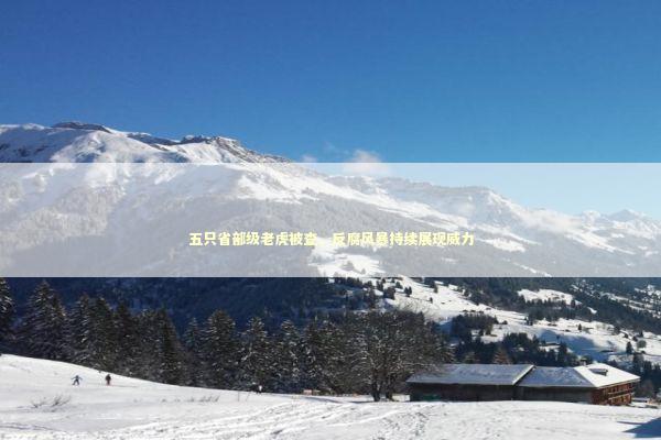 五只省部级老虎被查，反腐风暴持续展现威力