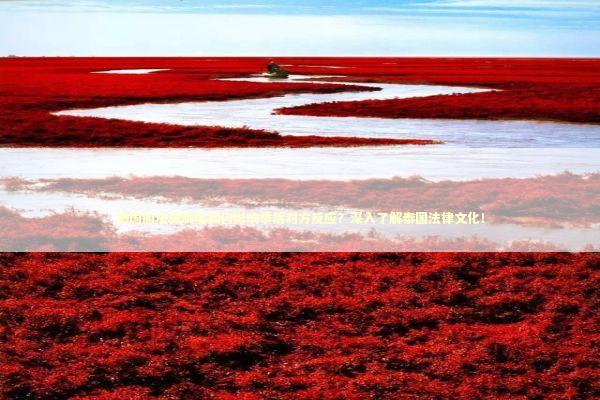 泰国的法律制度如何影响事后对方反应？深入了解泰国法律文化！