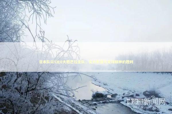 日本队以5比0大胜巴拉圭队，实力彰显与足球精神的胜利