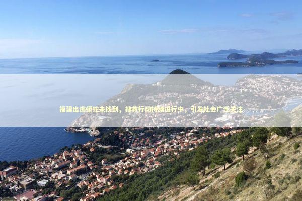 福建出逃蟒蛇未找到，搜救行动持续进行中，引发社会广泛关注