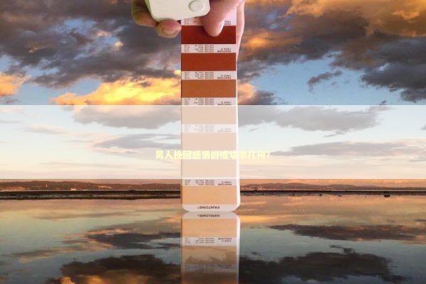 男人挽回感情的成功率几何？