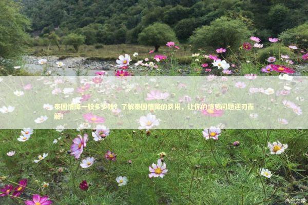 泰国情降一般多少钱？了解泰国情降的费用，让你的情感问题迎刃而解！