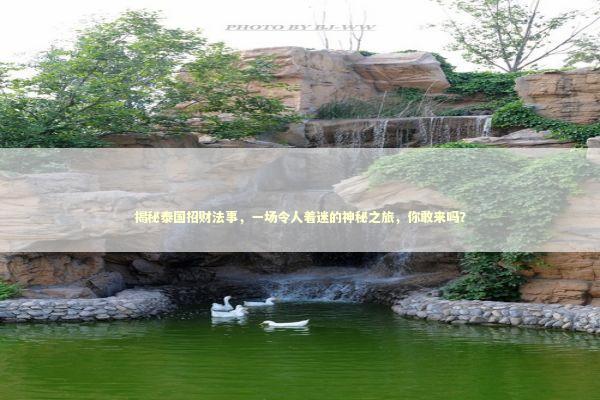 揭秘泰国招财法事，一场令人着迷的神秘之旅，你敢来吗？