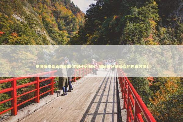 泰国情降膏真的能助你挽回爱情吗？揭秘神秘情降膏的神奇效果！