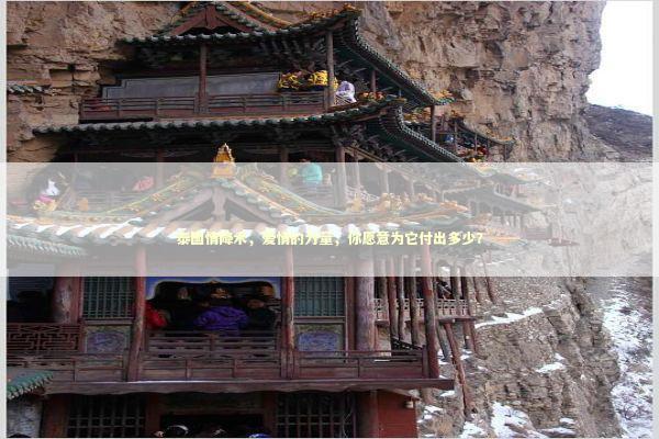 泰国情降术，爱情的力量，你愿意为它付出多少？