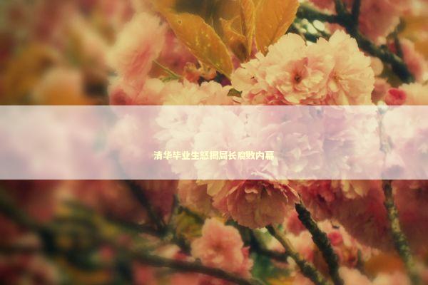 清华毕业生怒揭局长腐败内幕