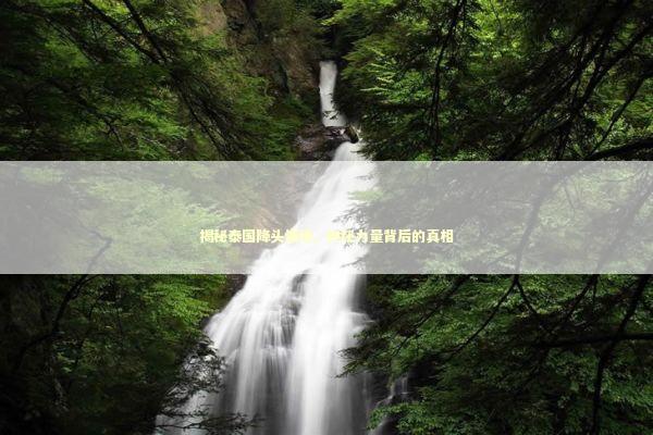 揭秘泰国降头情降，神秘力量背后的真相