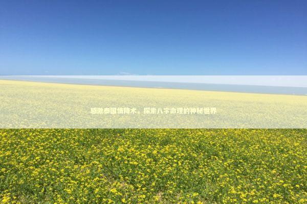 感激泰国情降术，探索八字命理的神秘世界