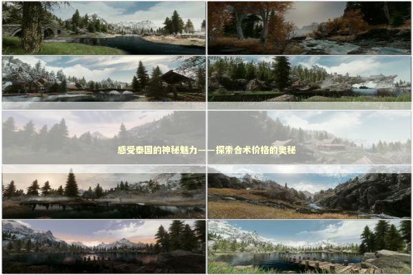 感受泰国的神秘魅力——探索合术价格的奥秘