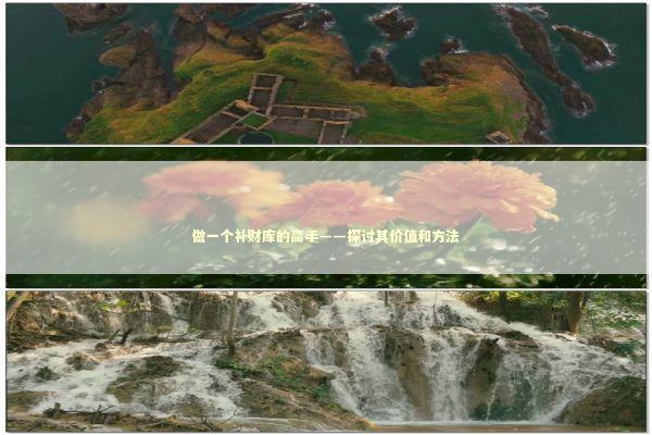 做一个补财库的高手——探讨其价值和方法