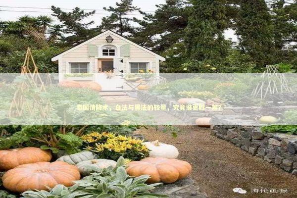 泰国情降术，白法与黑法的较量，究竟谁更胜一筹？