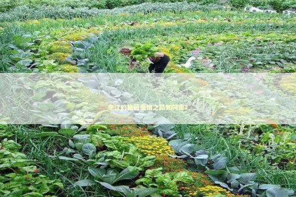 余江的挽回爱情之路如何走？