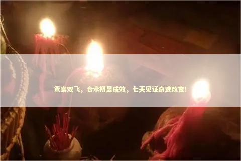 鸳鸯双飞，合术初显成效，七天见证奇迹改变！