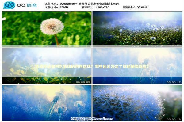 情感表达如何影响你的购物选择？哪些因素决定了你的情绪反应？