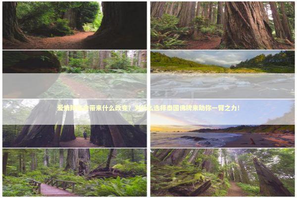 爱情降临会带来什么改变？为什么选择泰国佛牌来助你一臂之力！