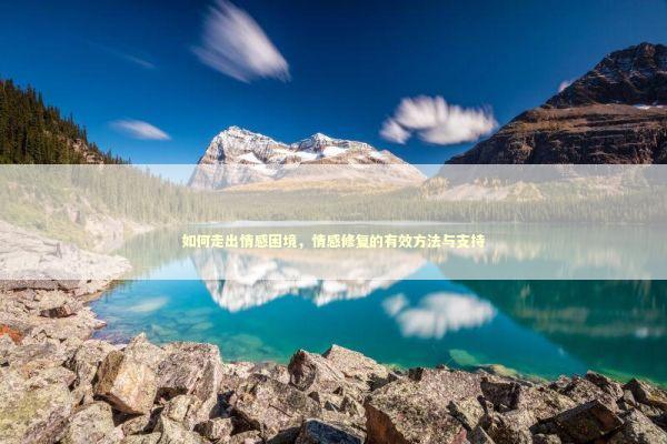 如何走出情感困境，情感修复的有效方法与支持