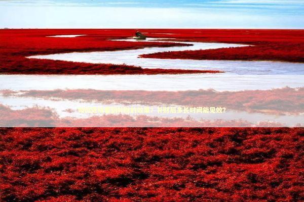 如何更快看到补财的效果？补财后多长时间能见效？