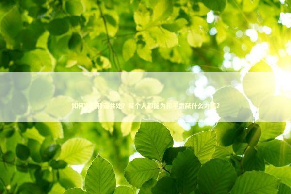 如何实现和谐共处？每个人都能为和平贡献什么力量？