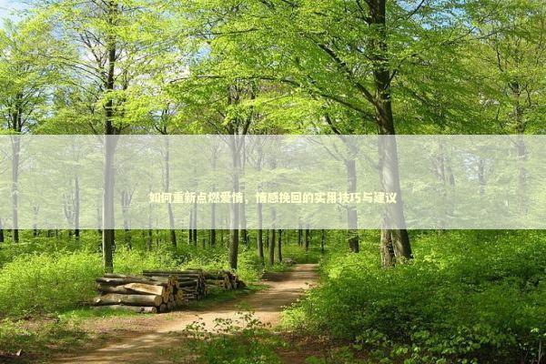 如何重新点燃爱情，情感挽回的实用技巧与建议
