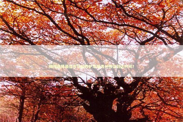 如何选择最适合您的救护车服务并预估到达时间？