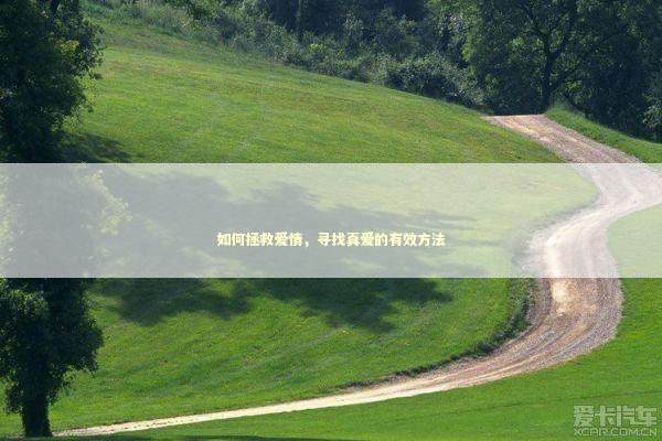 如何拯救爱情，寻找真爱的有效方法