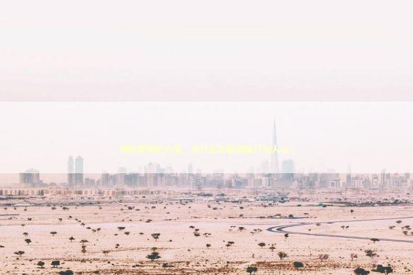 揭秘爱情的力量，为什么它能如此打动人心？