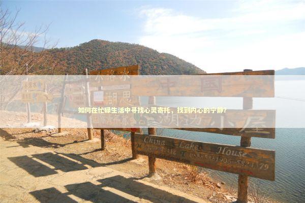 如何在忙碌生活中寻找心灵寄托，找到内心的宁静？