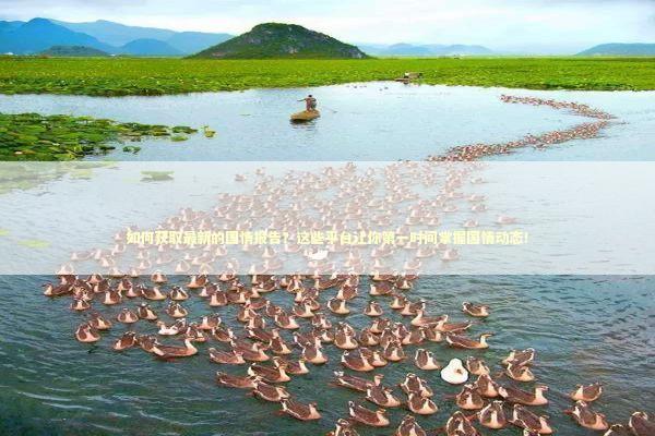 如何获取最新的国情报告？这些平台让你第一时间掌握国情动态！