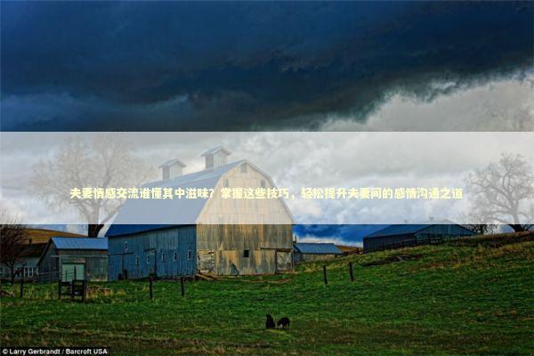 夫妻情感交流谁懂其中滋味？掌握这些技巧，轻松提升夫妻间的感情沟通之道