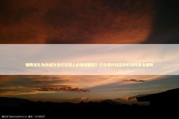 情降文化为何成为当代年轻人的情感解药？它在现代社交中的独特角色解析