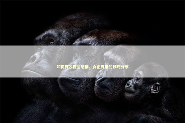 如何有效挽回感情，真正有用的技巧分享