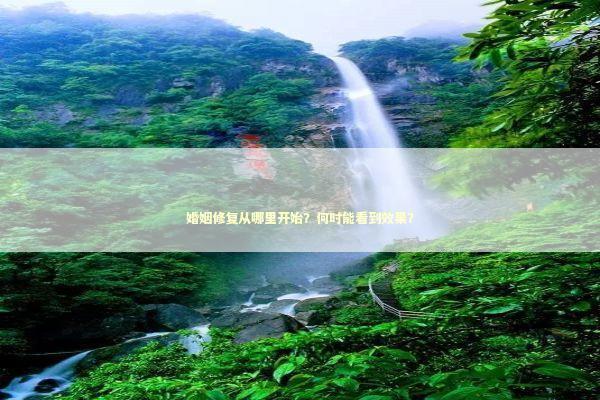 婚姻修复从哪里开始？何时能看到效果？