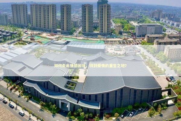 如何走出情感困境，找到爱情的重生之地？