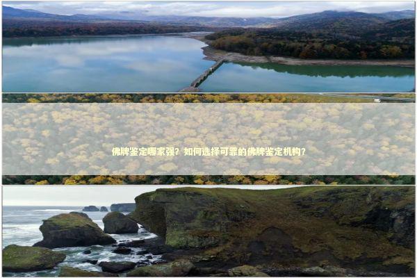 佛牌鉴定哪家强？如何选择可靠的佛牌鉴定机构？