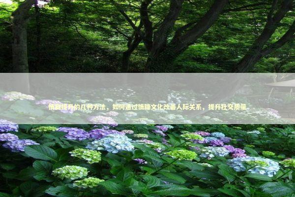 情商提升的几种方法，如何通过情降文化改善人际关系，提升社交质量