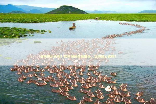 谁来揭示真相？如何保障信息安全，让你放心选购？