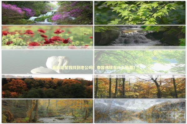 真的能帮我找到老公吗？泰国佛牌有什么效果？