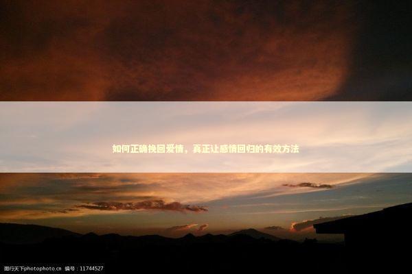 如何正确挽回爱情，真正让感情回归的有效方法