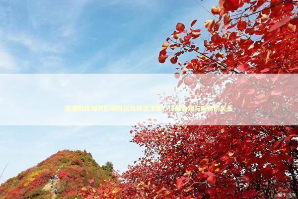 命带财库如何影响财运及投资决策？详解命理与理财的关系