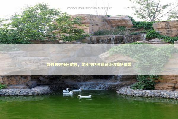 如何有效挽回前任，实用技巧与建议让你重拾旧爱