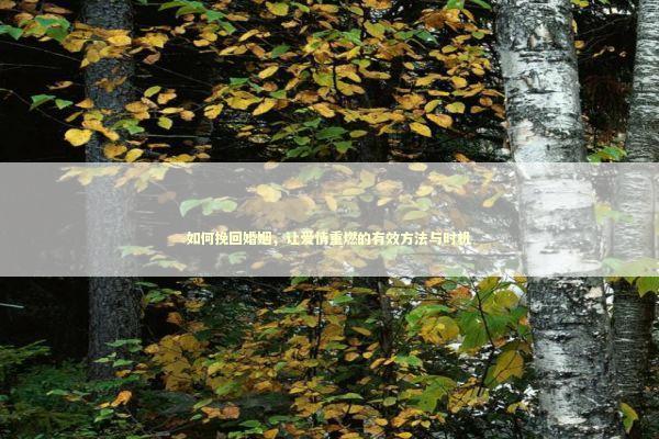 如何挽回婚姻，让爱情重燃的有效方法与时机