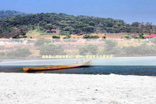 谁来做心理辅导更好？哪种心理辅导方法更有效？