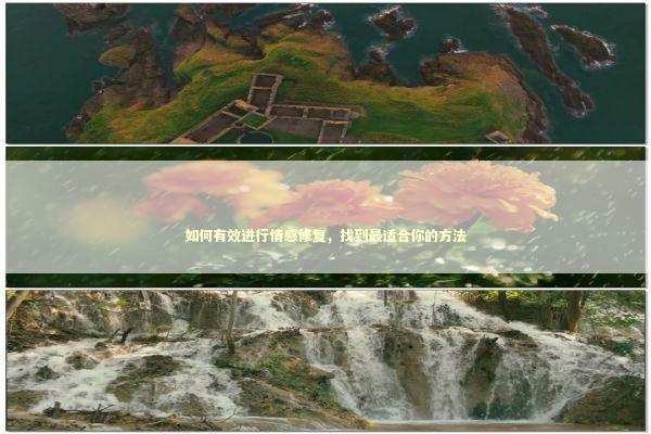 如何有效进行情感修复，找到最适合你的方法