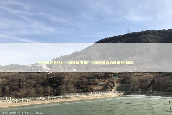 如何选择合适的心理辅导服务？心理辅导真的能帮到你吗？