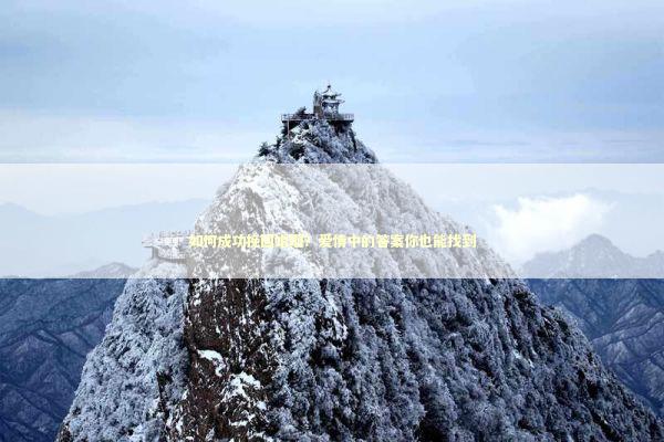 如何成功挽回婚姻？爱情中的答案你也能找到