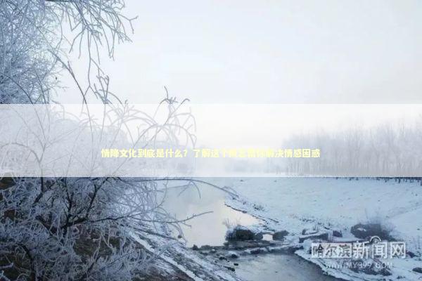 情降文化到底是什么？了解这个概念帮你解决情感困惑